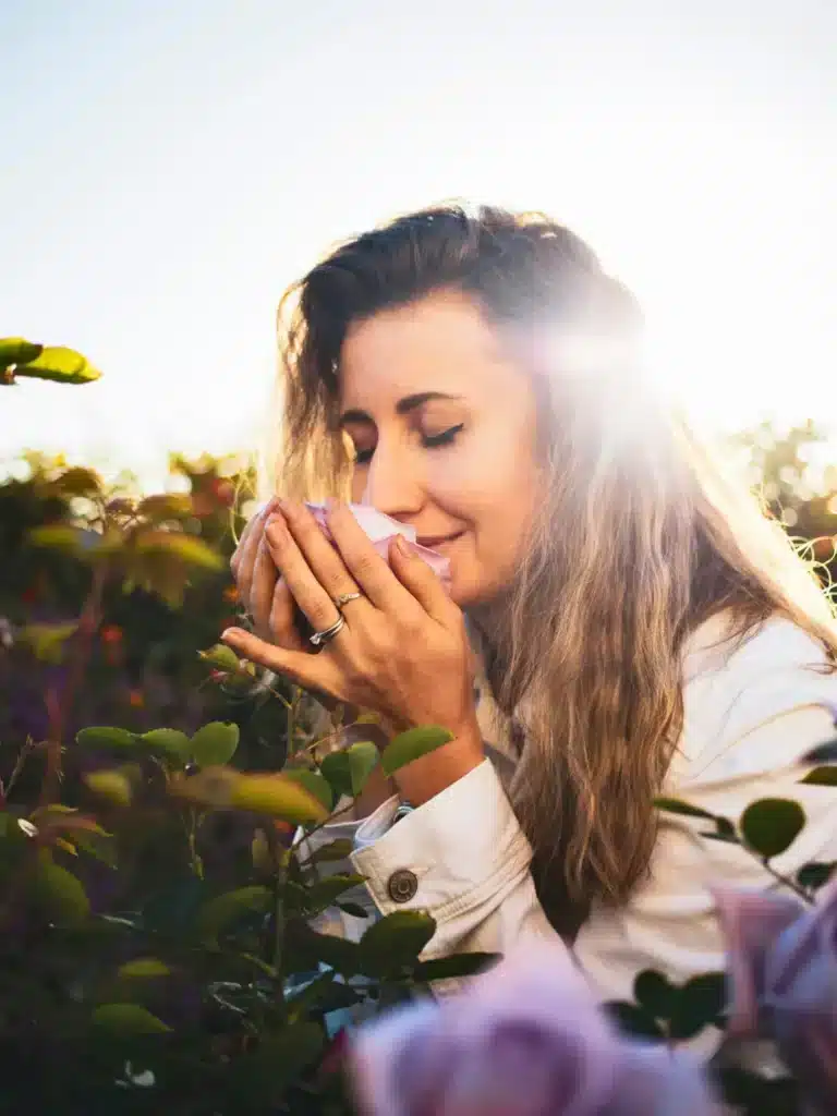 Web Stories 1 00 plantas animais webstory por que amamos as plantas blog melhore seus dias